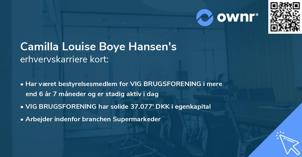 Camilla Louise Boye Hansen's erhvervskarriere kort