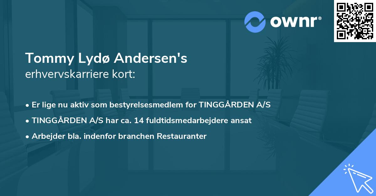 Tommy Lydø Andersen's erhvervskarriere kort