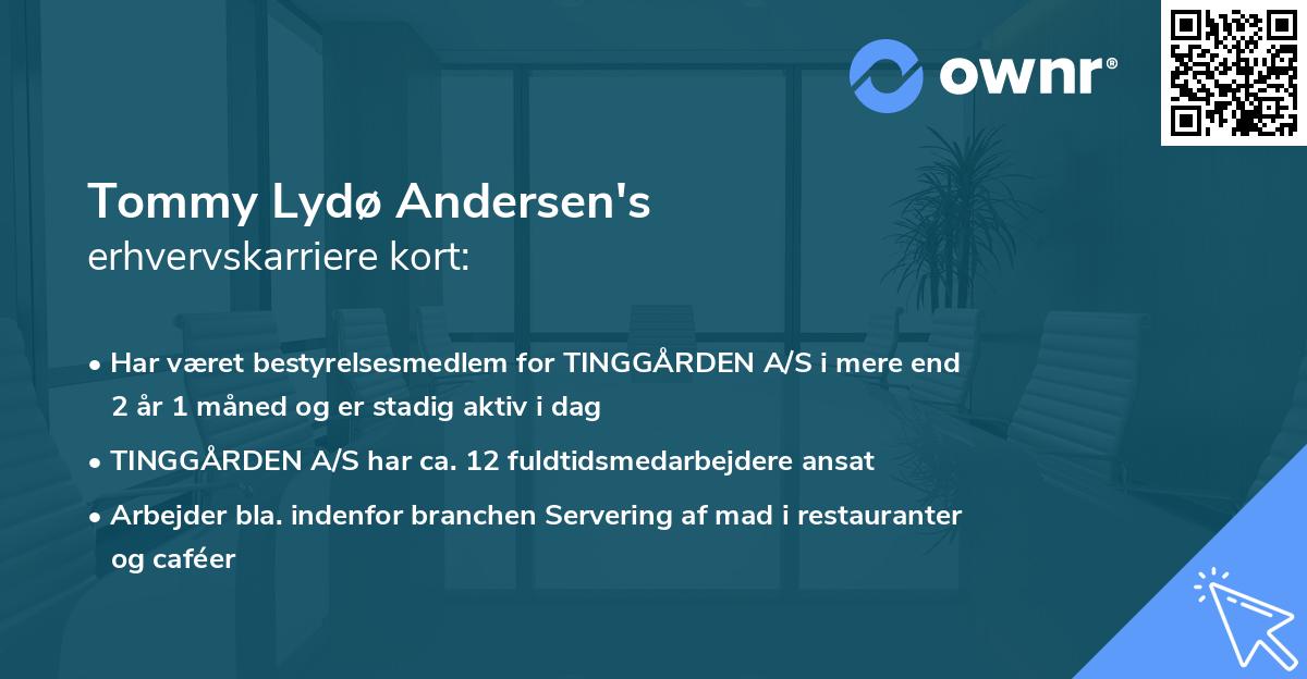 Tommy Lydø Andersen's erhvervskarriere kort