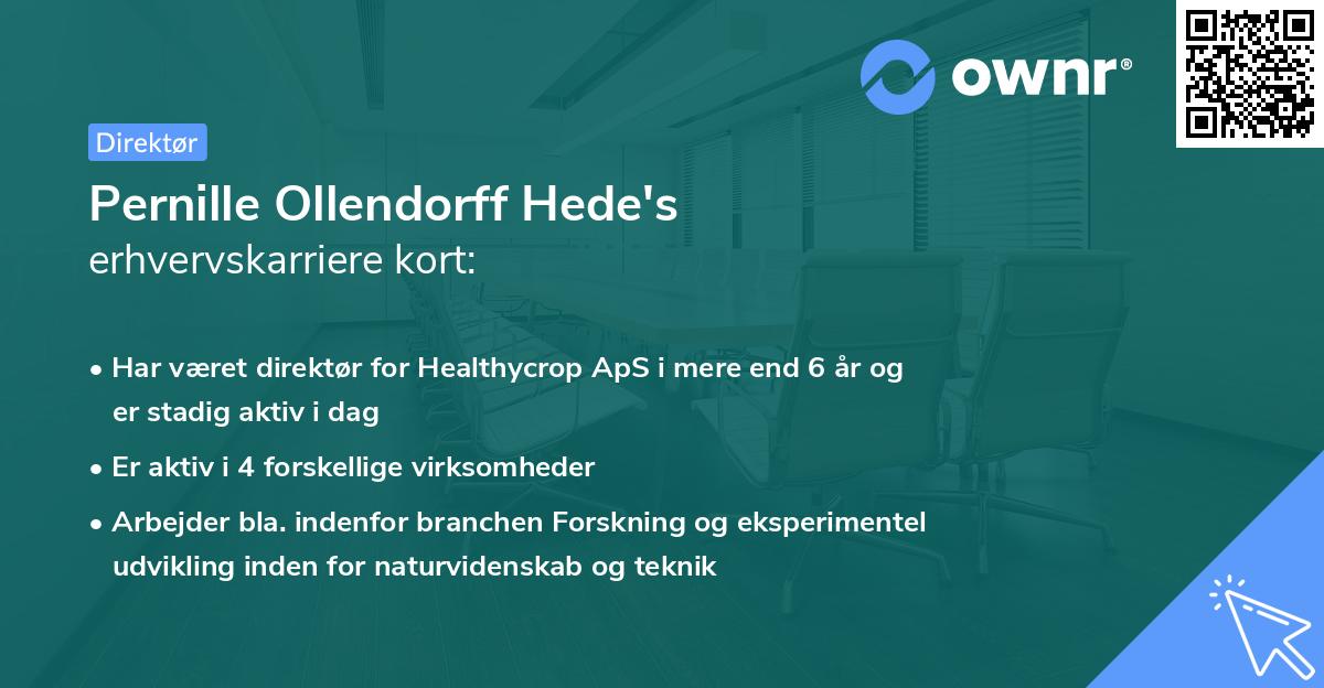 Pernille Ollendorff Hede's erhvervskarriere kort