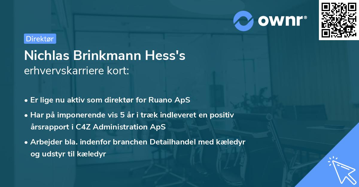 Nichlas Brinkmann Hess's erhvervskarriere kort