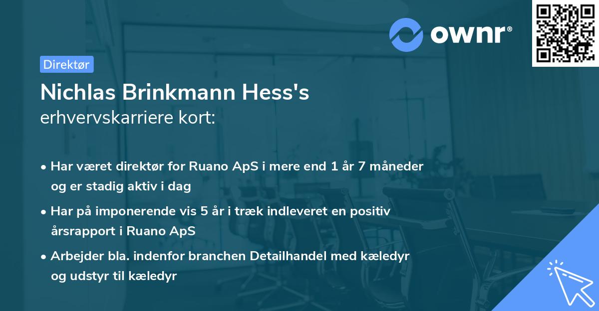 Nichlas Brinkmann Hess's erhvervskarriere kort