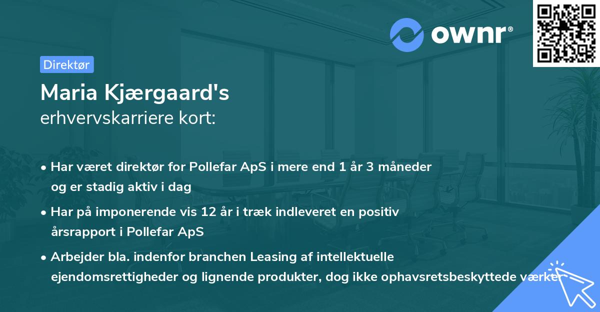 Maria Kjærgaard's erhvervskarriere kort