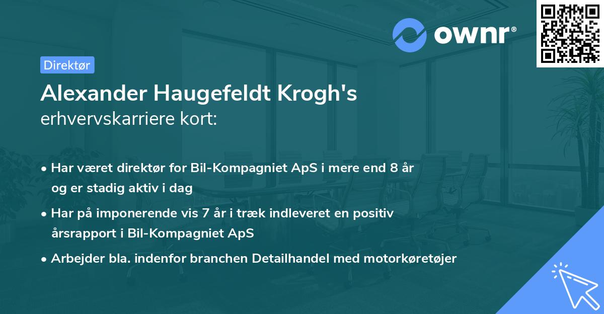 Alexander Haugefeldt Krogh's erhvervskarriere kort