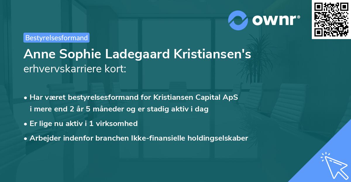 Anne Sophie Ladegaard Kristiansen's erhvervskarriere kort
