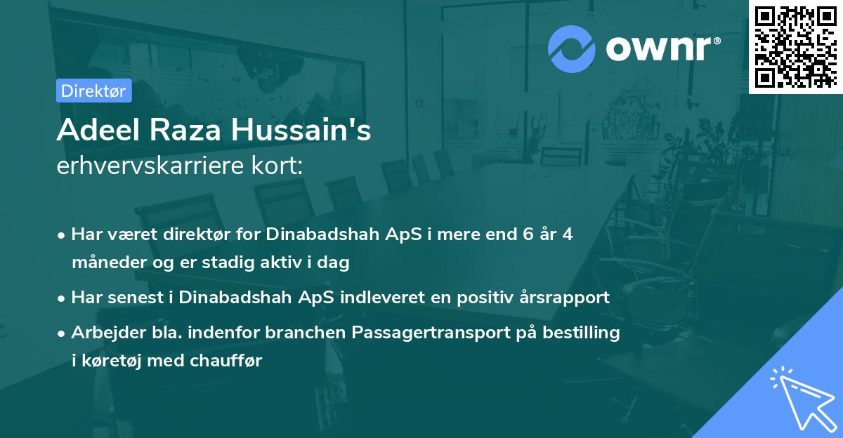 Adeel Raza Hussain's erhvervskarriere kort