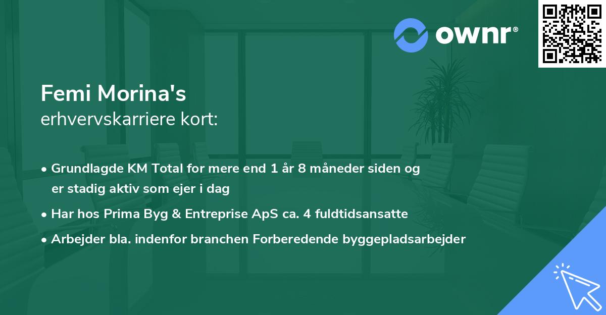 Femi Morina's erhvervskarriere kort