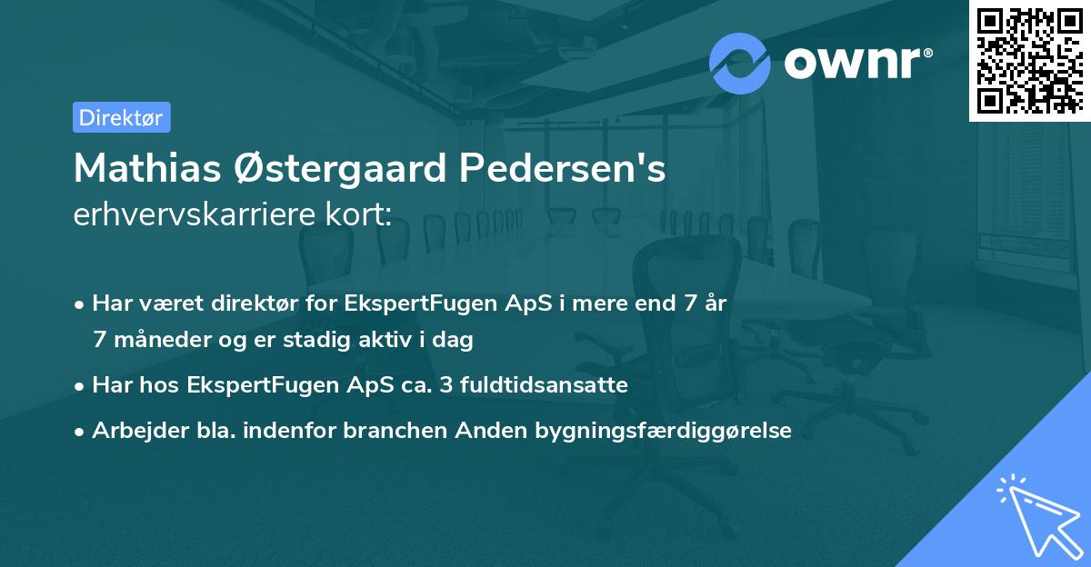 Mathias Østergaard Pedersen's erhvervskarriere kort