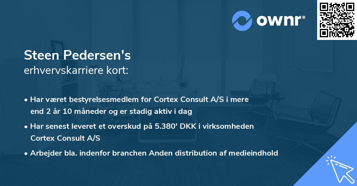 Steen Pedersen's erhvervskarriere kort