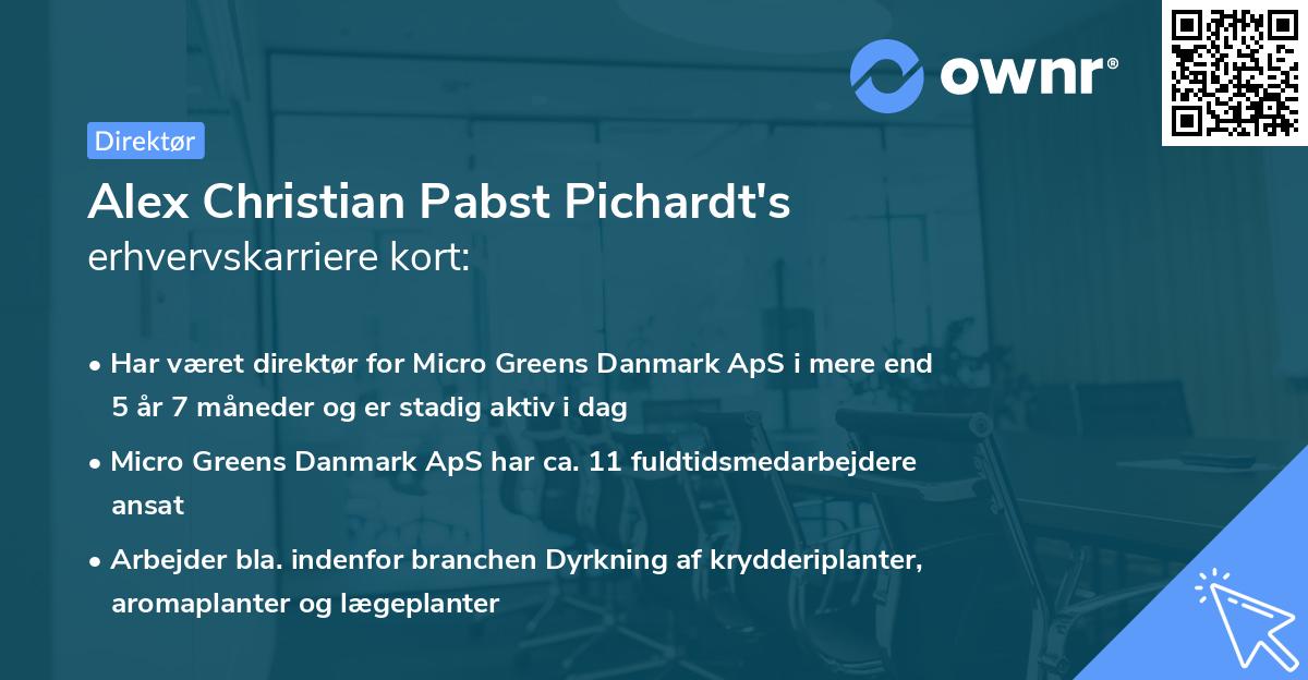 Alex Christian Pabst Pichardt's erhvervskarriere kort