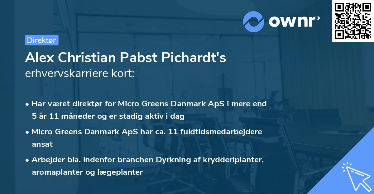 Alex Christian Pabst Pichardt's erhvervskarriere kort