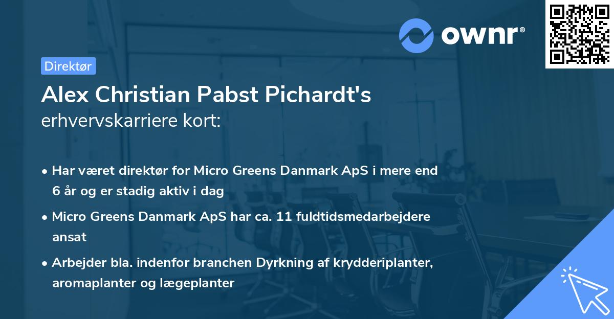 Alex Christian Pabst Pichardt's erhvervskarriere kort