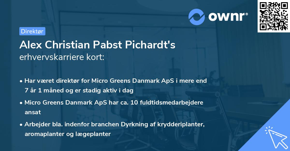Alex Christian Pabst Pichardt's erhvervskarriere kort