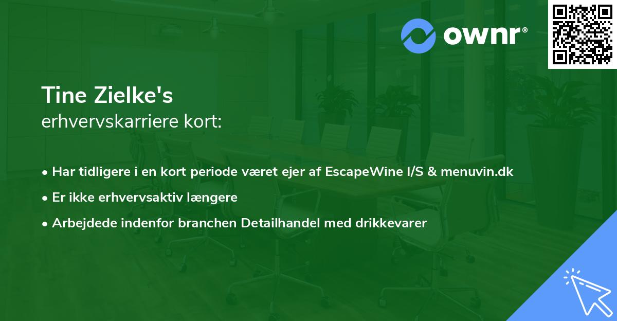 Tine Zielke's erhvervskarriere kort