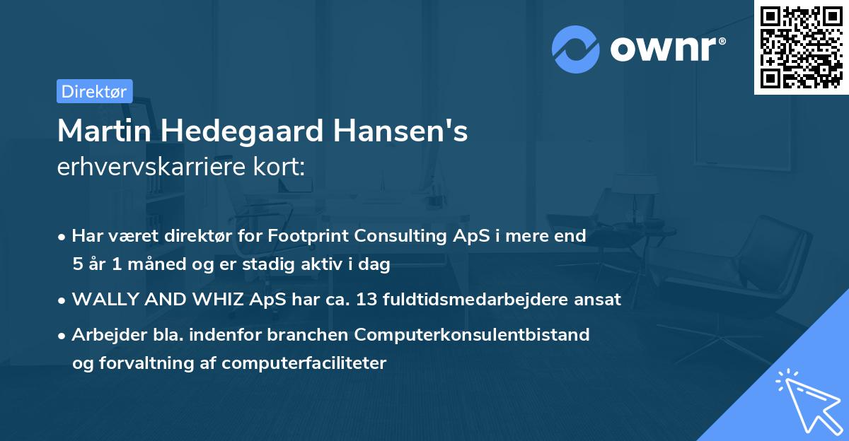 Martin Hedegaard Hansen's erhvervskarriere kort