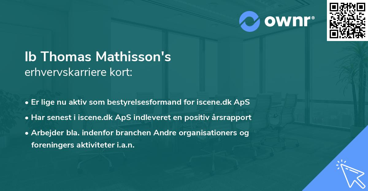 Ib Thomas Mathisson's erhvervskarriere kort