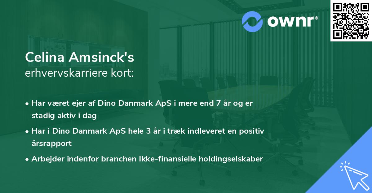 Celina Amsinck's erhvervskarriere kort