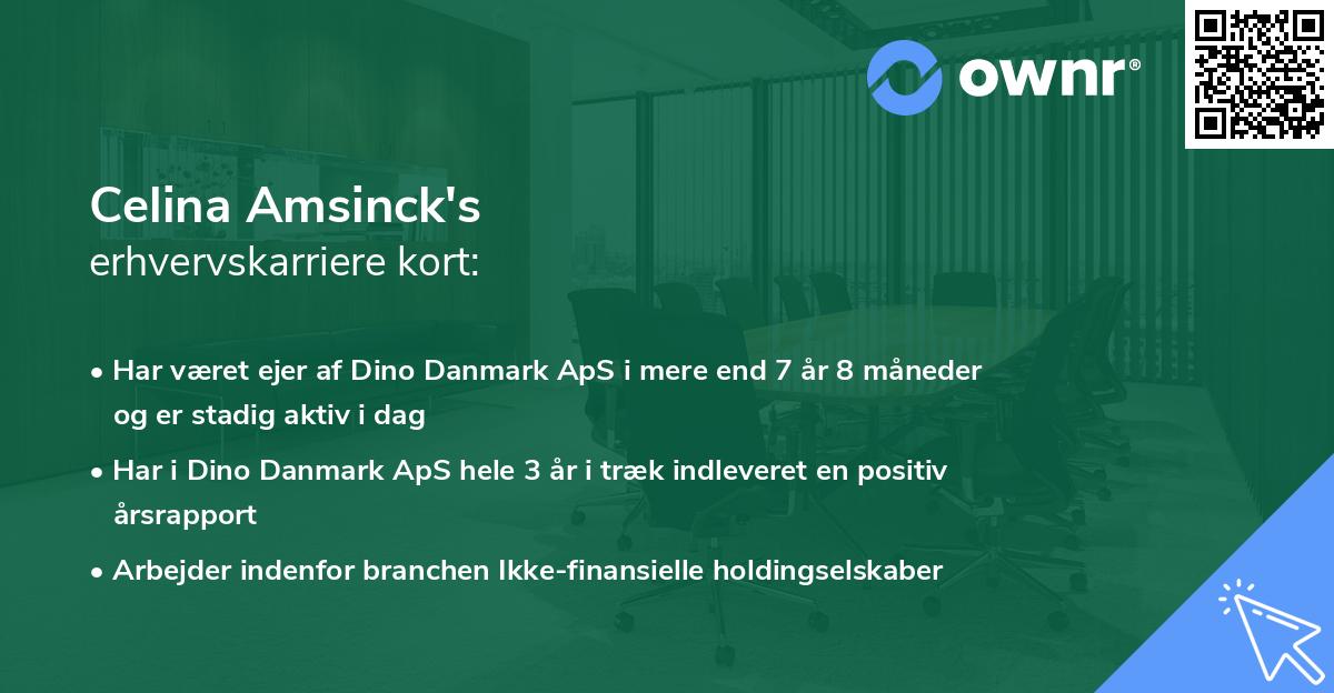 Celina Amsinck's erhvervskarriere kort