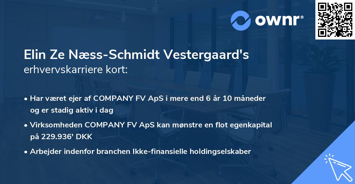 Elin Ze Næss-Schmidt Vestergaard's erhvervskarriere kort