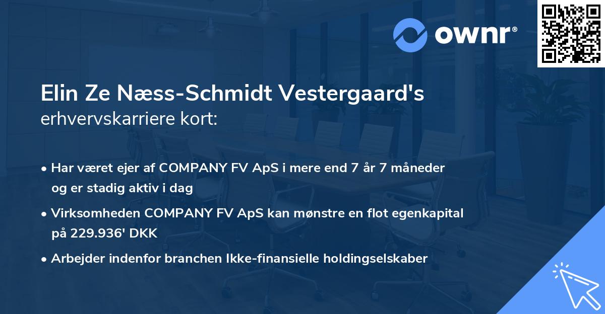 Elin Ze Næss-Schmidt Vestergaard's erhvervskarriere kort