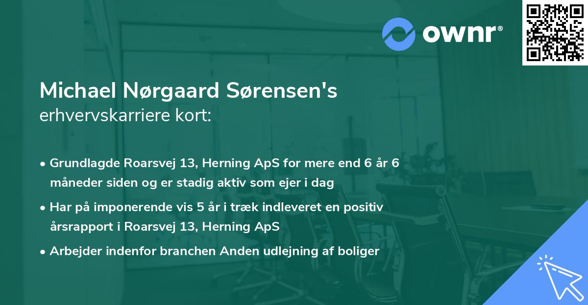 Michael Nørgaard Sørensen's erhvervskarriere kort