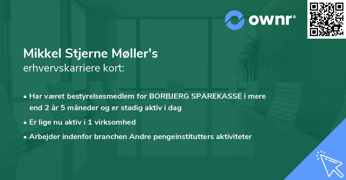 Mikkel Stjerne Møller's erhvervskarriere kort