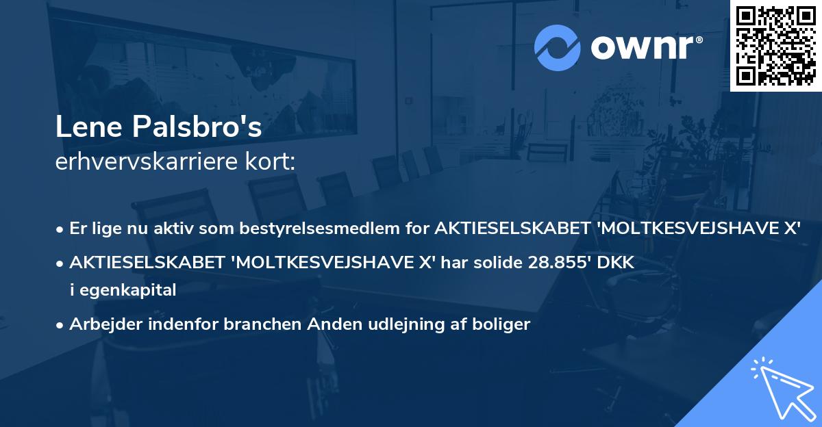 Lene Palsbro's erhvervskarriere kort