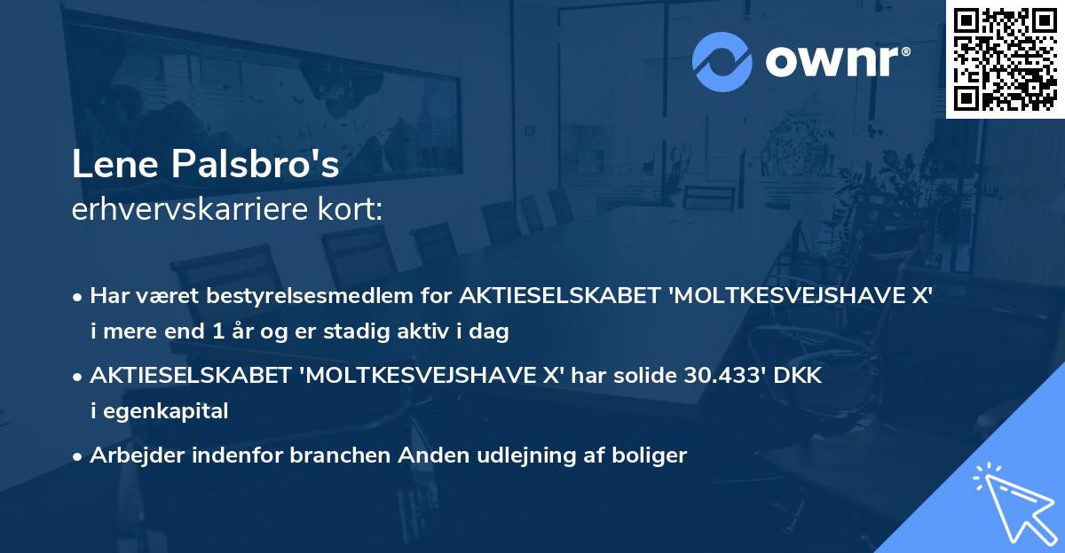 Lene Palsbro's erhvervskarriere kort