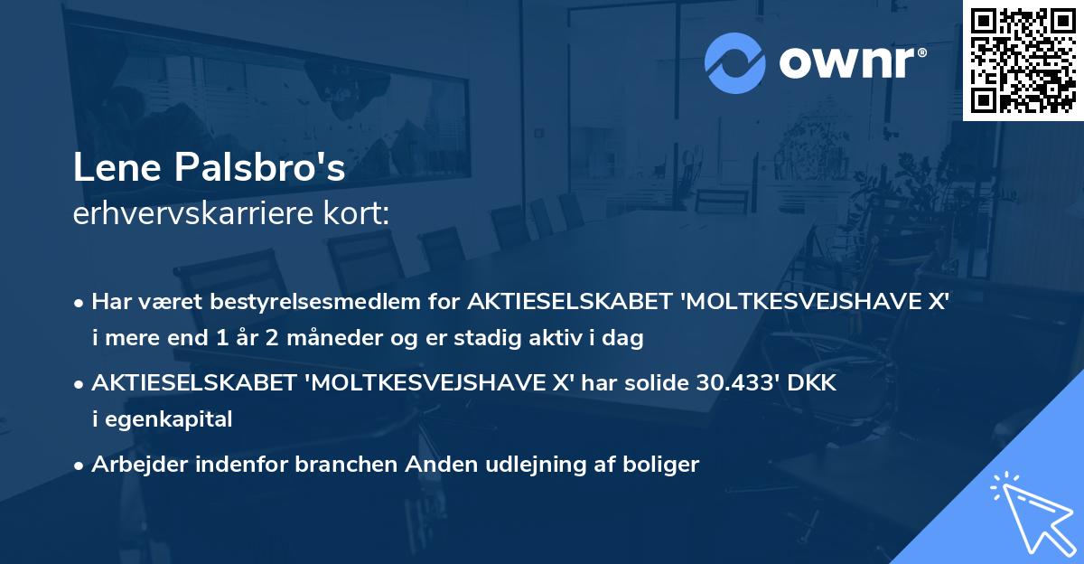 Lene Palsbro's erhvervskarriere kort