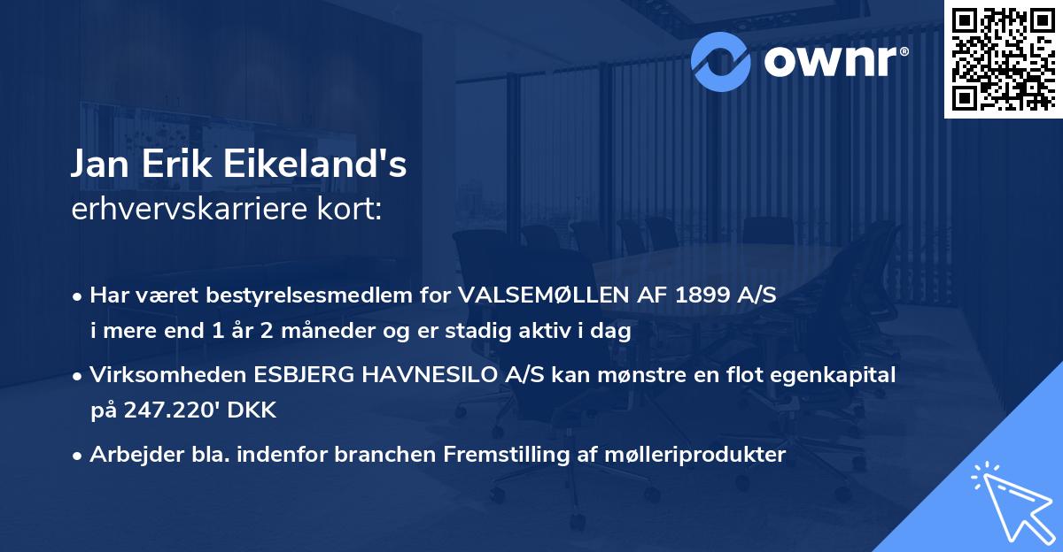 Jan Erik Eikeland's erhvervskarriere kort