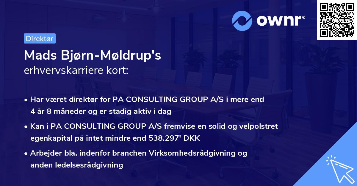 Mads Bjørn-Møldrup's erhvervskarriere kort