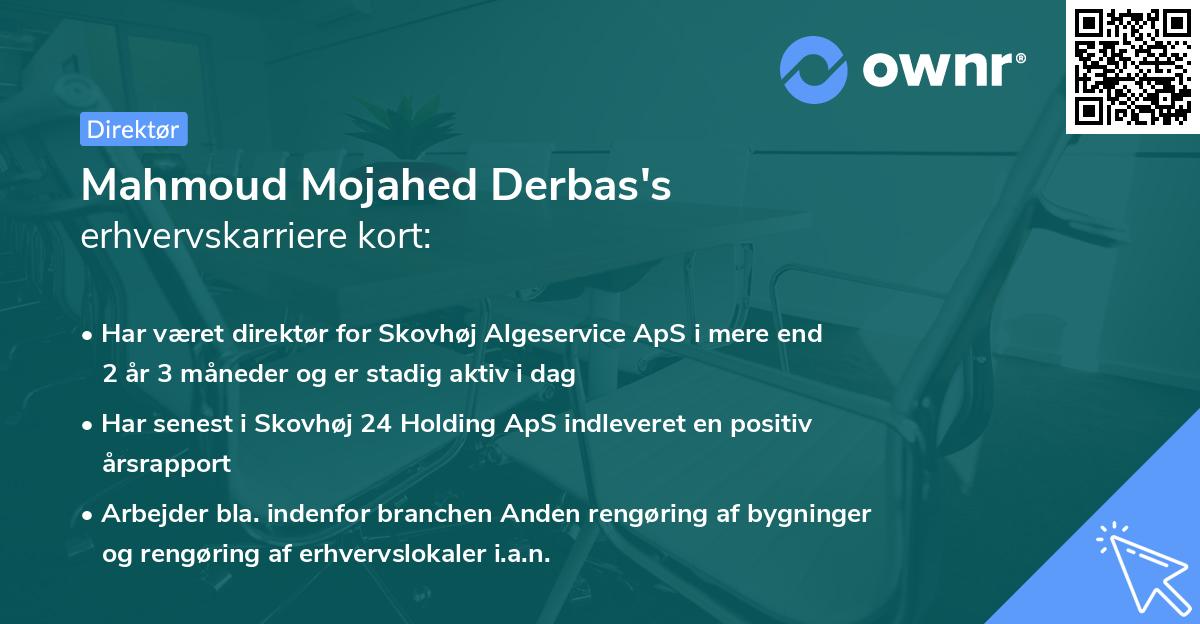 Mahmoud Mojahed Derbas's erhvervskarriere kort