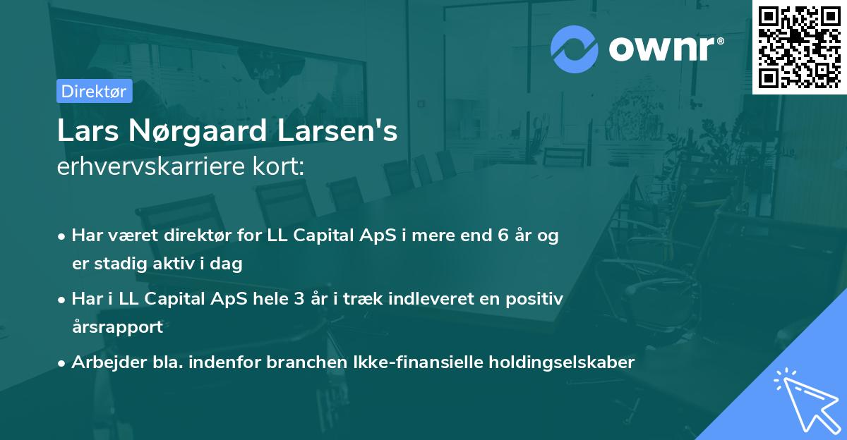 Lars Nørgaard Larsen's erhvervskarriere kort