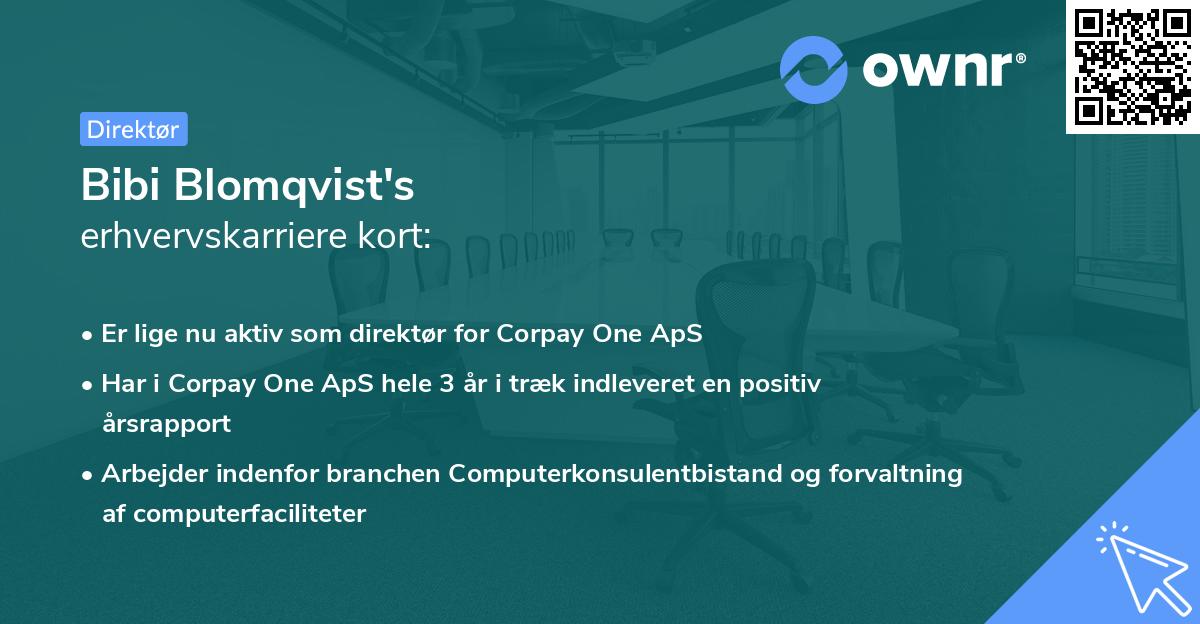 Bibi Blomqvist's erhvervskarriere kort