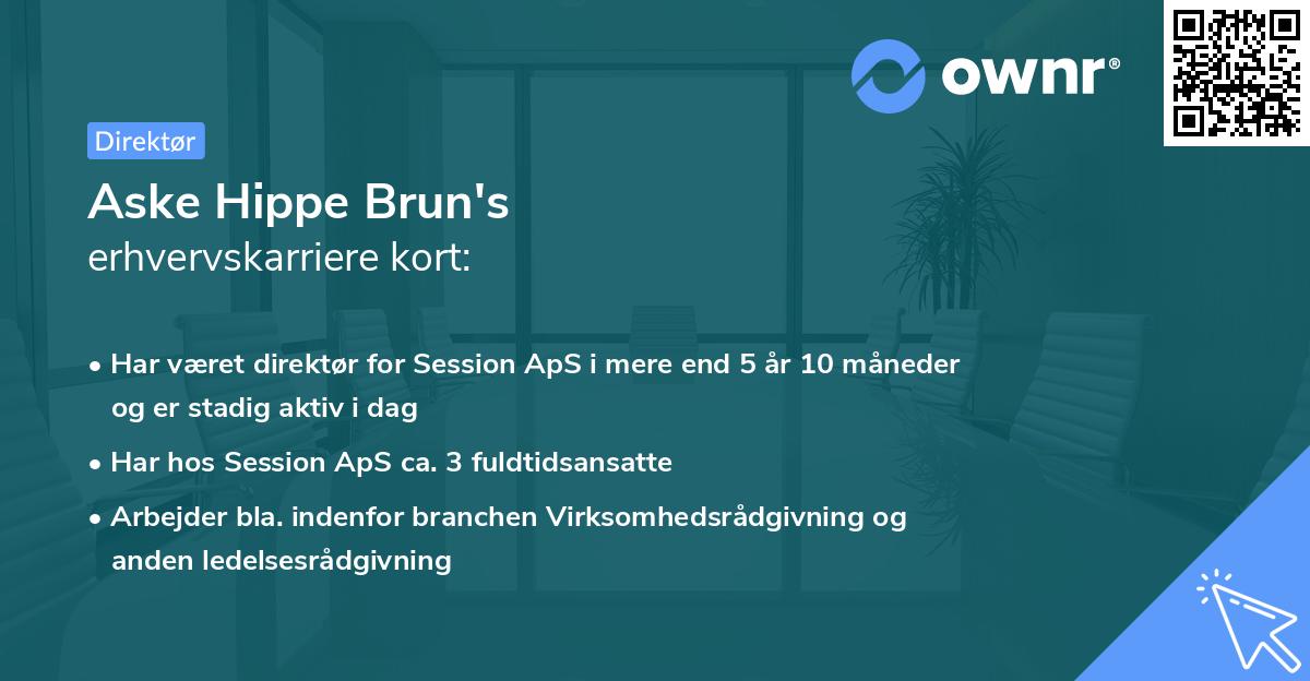 Aske Hippe Brun's erhvervskarriere kort