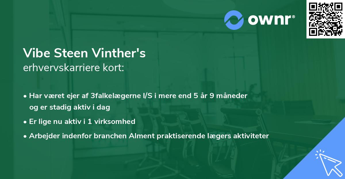 Vibe Steen Vinther's erhvervskarriere kort