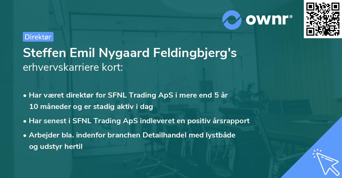 Steffen Emil Nygaard Feldingbjerg's erhvervskarriere kort