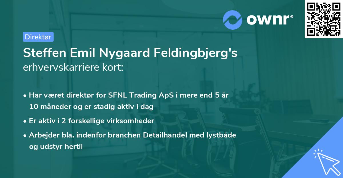 Steffen Emil Nygaard Feldingbjerg's erhvervskarriere kort