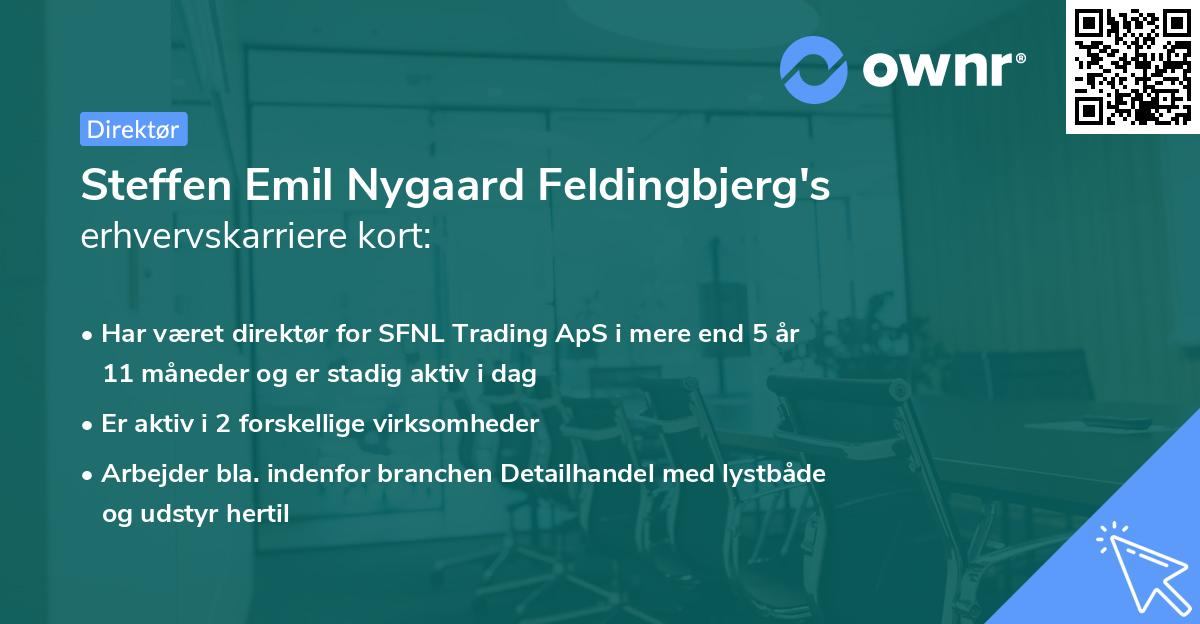 Steffen Emil Nygaard Feldingbjerg's erhvervskarriere kort