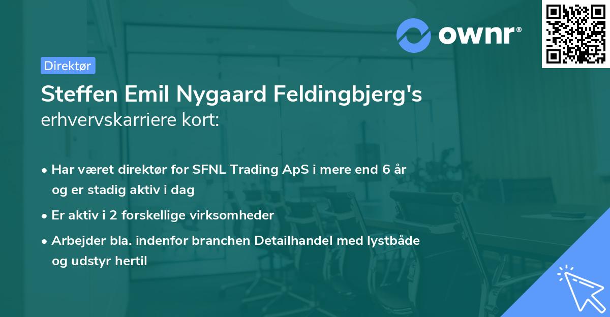 Steffen Emil Nygaard Feldingbjerg's erhvervskarriere kort