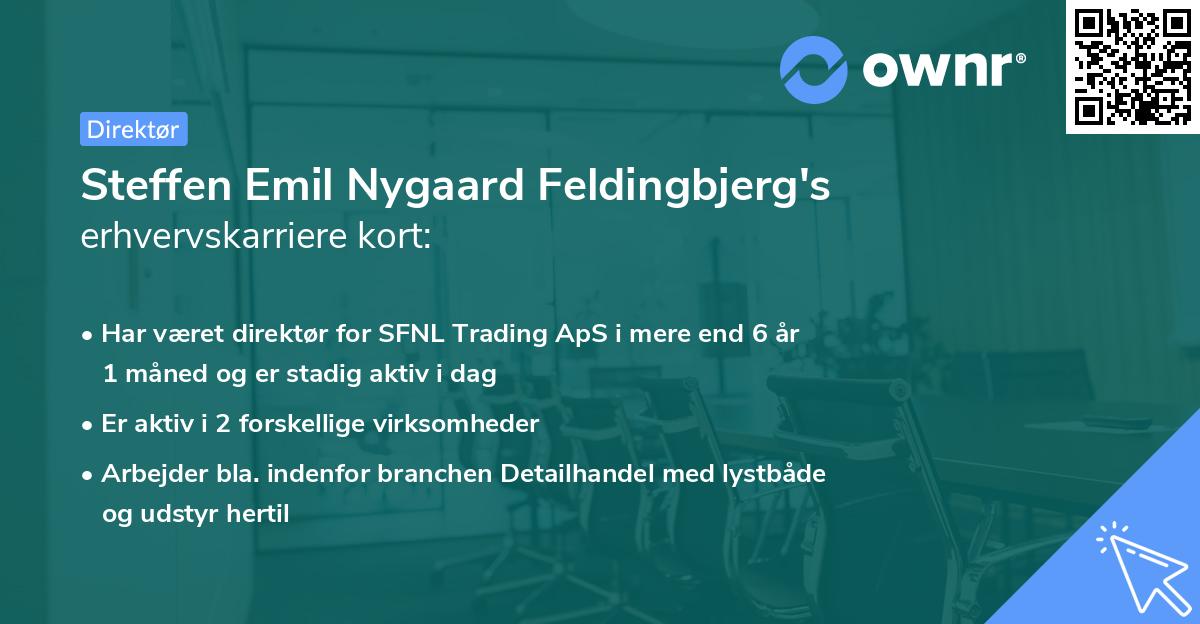 Steffen Emil Nygaard Feldingbjerg's erhvervskarriere kort