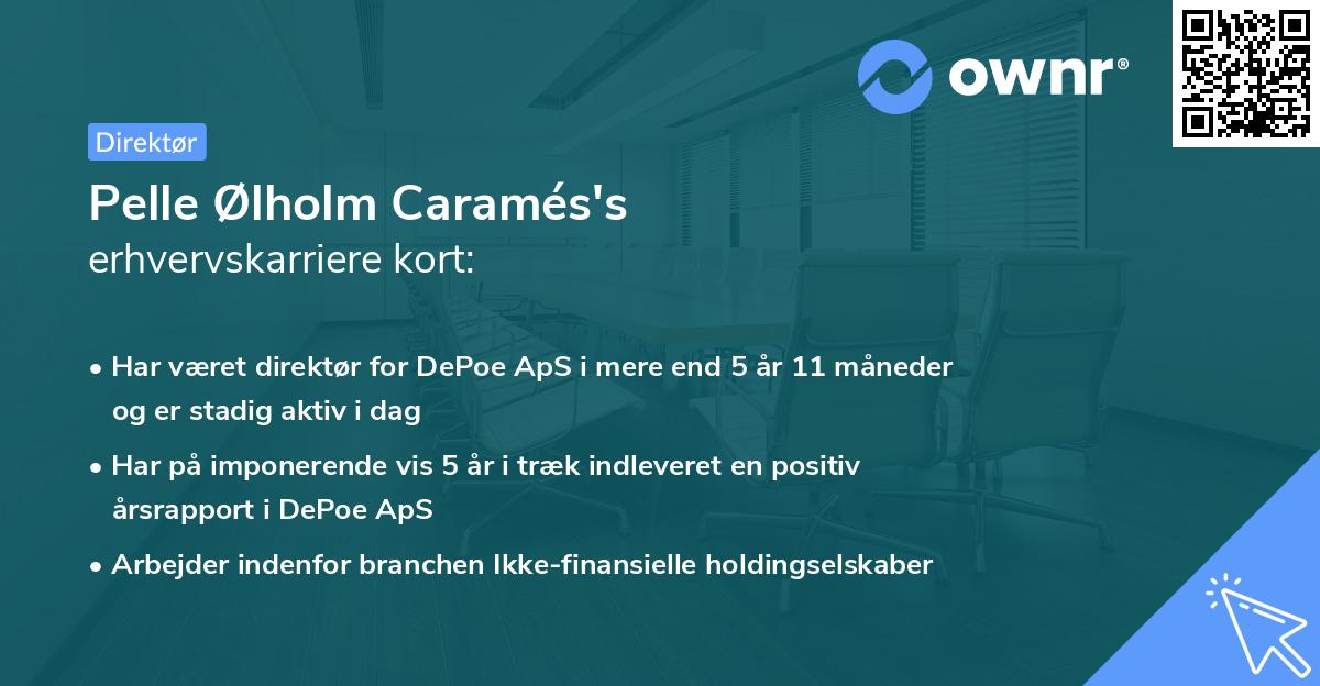 Pelle Ølholm Caramés's erhvervskarriere kort