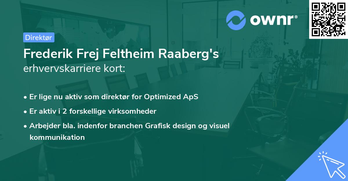 Frederik Frej Feltheim Raaberg's erhvervskarriere kort