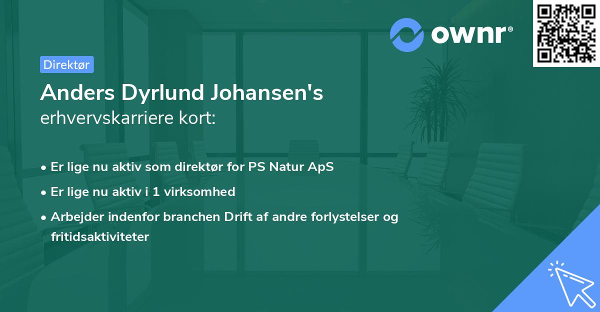 Anders Dyrlund Johansen's erhvervskarriere kort