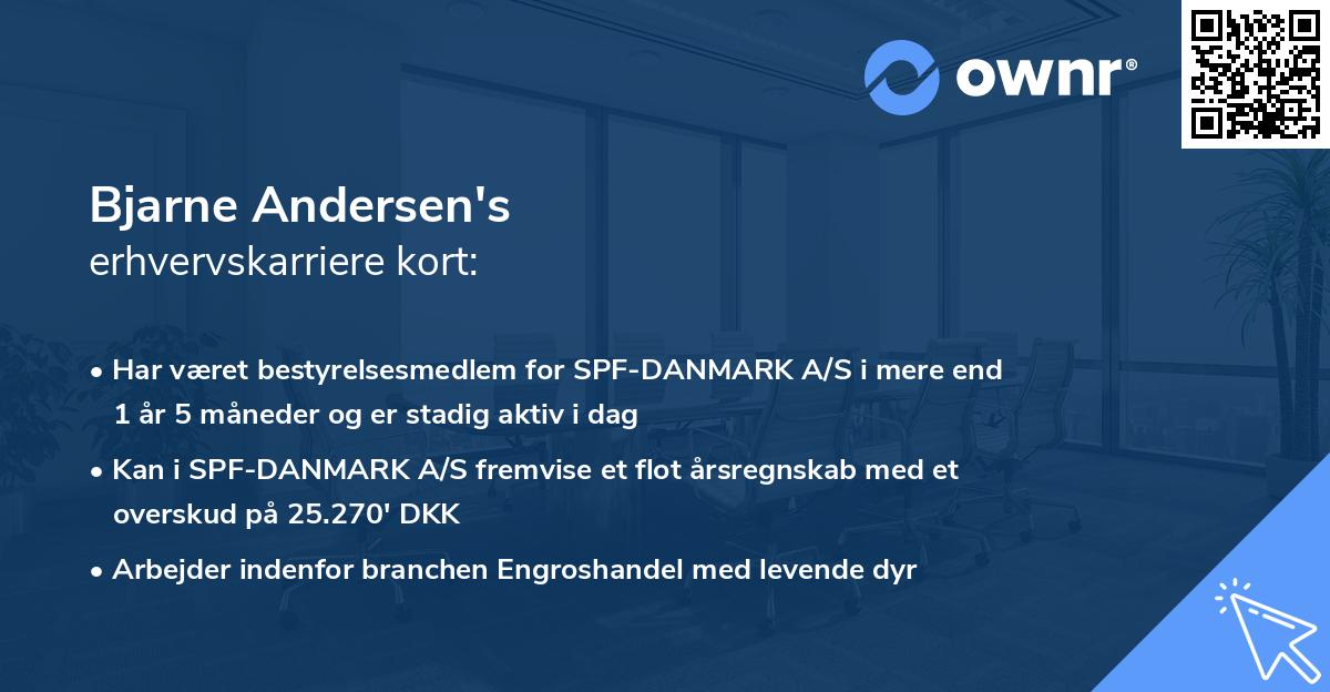 Bjarne Andersen's erhvervskarriere kort