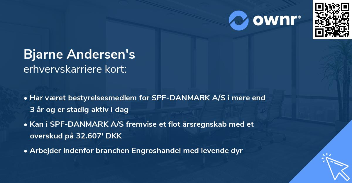 Bjarne Andersen's erhvervskarriere kort
