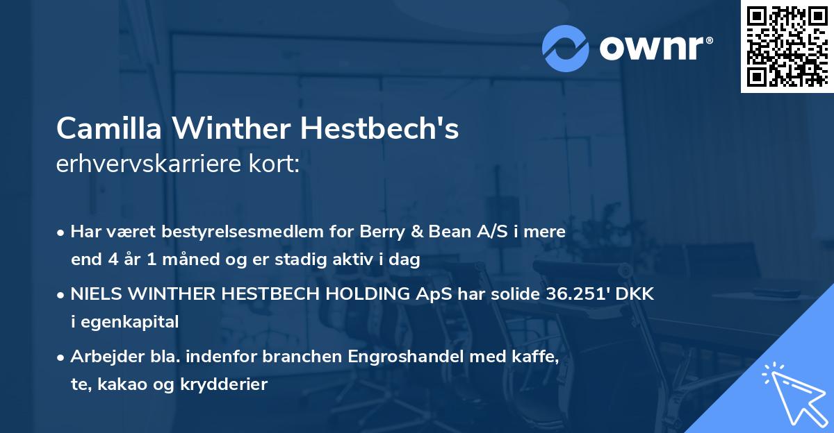 Camilla Winther Hestbech's erhvervskarriere kort