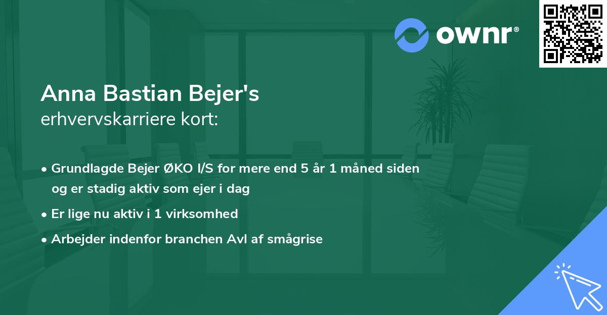 Anna Bastian Bejer's erhvervskarriere kort