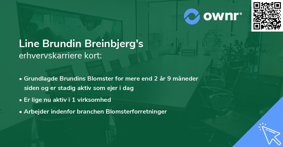 Line Brundin Breinbjerg's erhvervskarriere kort