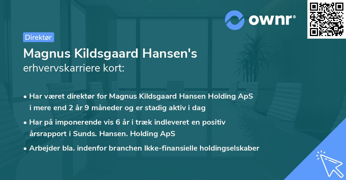 Magnus Kildsgaard Hansen's erhvervskarriere kort
